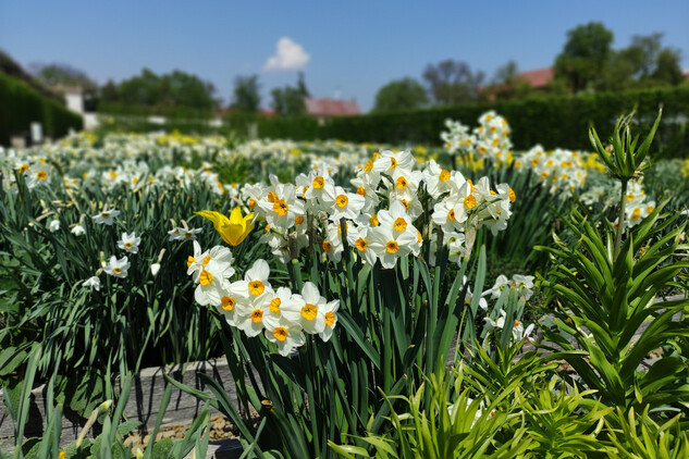 Květná zahrada v Kroměříži